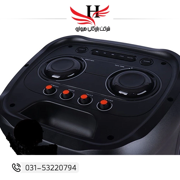 اسپیکر پارتی باکس رویال مدل 1025 با بیس قوی و نورپردازی RGB مناسب مهمانی و جشن | فروش عمده هیوارو نمایندگی تهران و شهرضا اصفهان